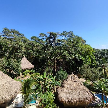 Colibri Parque Tayrona Dentro Del Parque Nacional Tayrona Bed & Breakfast El Zaino Exterior photo