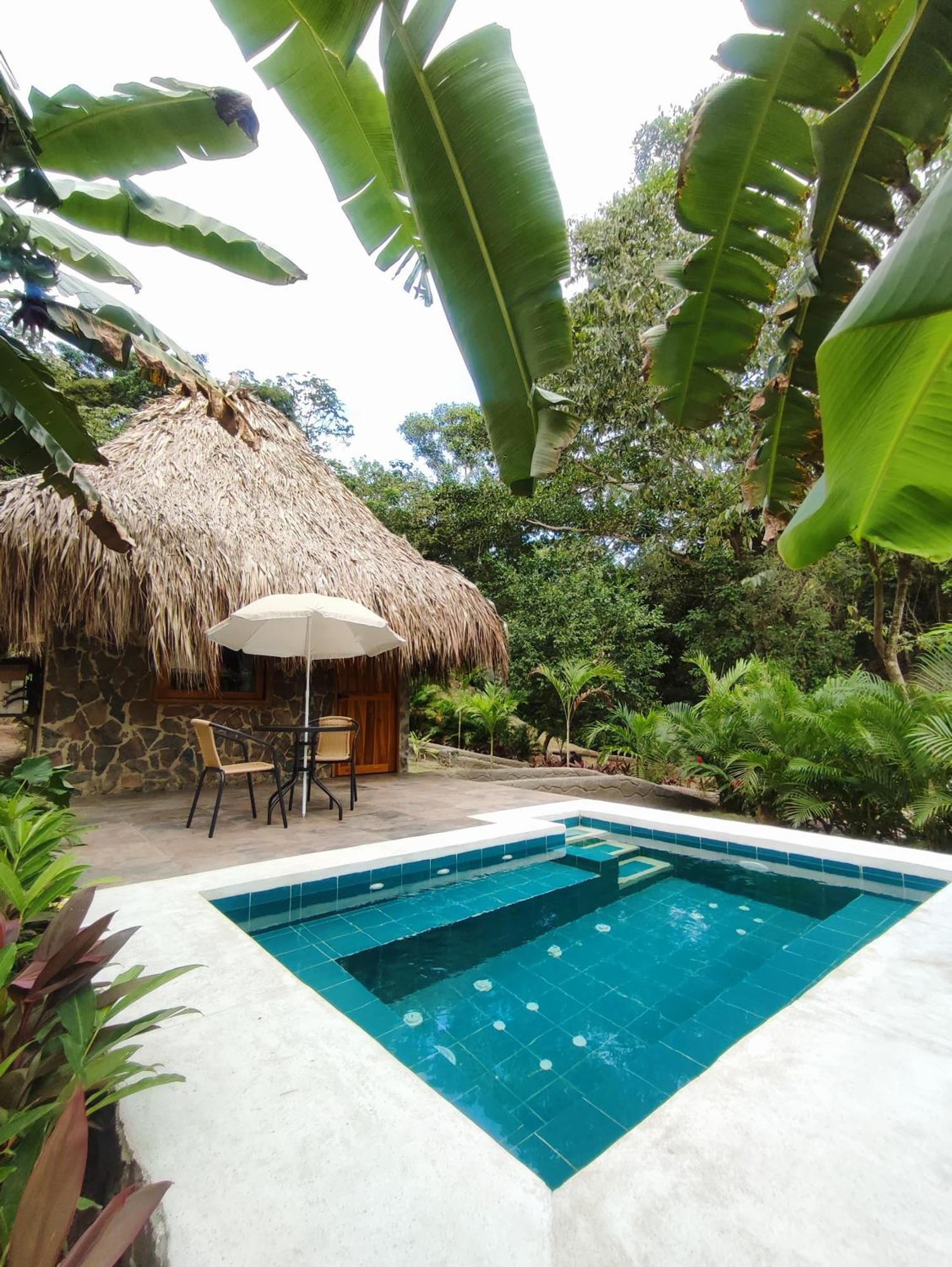 Colibri Parque Tayrona Dentro Del Parque Nacional Tayrona Bed & Breakfast El Zaino Exterior photo
